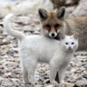 Meet your Posher, Geneviève